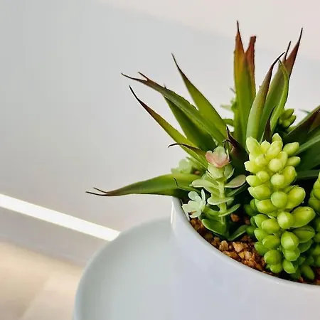 Atico Dalai - Jacuzzi & Terraza Junto Al Mar Y Playas דירה